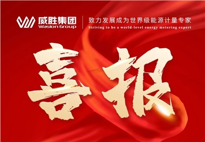 排名第一！威勝集團(tuán)2024年中標(biāo)國網(wǎng)總部集中招標(biāo)采購項(xiàng)目總金額達(dá)5.97億元！